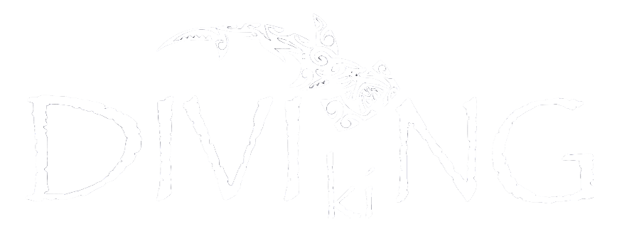 Tauchkurs Mannheim bei Tauchschule DivingViking